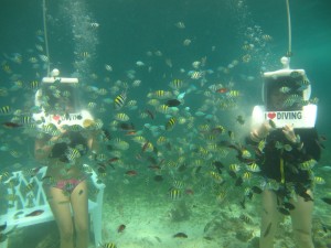 IMG_0801