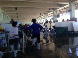 IMG_5930
