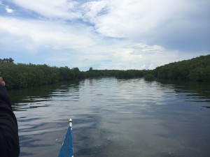 IMG_4111