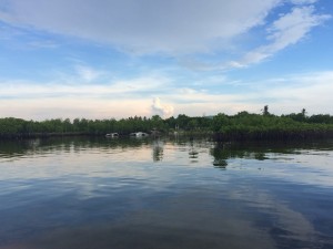 IMG_4162