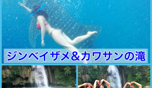 ジンベイザメ&カワサンの滝