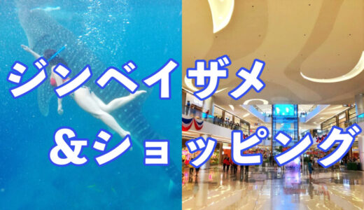【ジンベイザメ&ショッピング 】セブ貸切ツアー（Gopro無料レンタル）