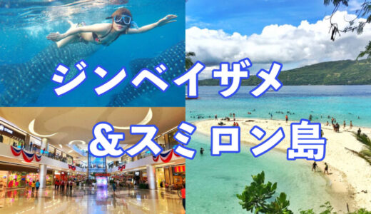 【ジンベイザメ&スミロン島＆ショッピング】セブ貸切ツアー（Gopro無料レンタル）