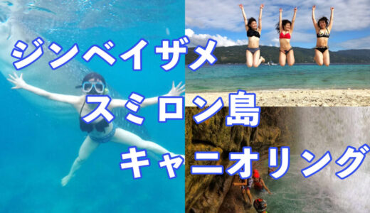 【セブ島】ジンベイザメと泳ぎ＆スミロン島とキャニオリングで絶景を楽しむ貸切（プライベート）ツアー！