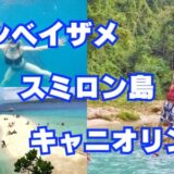 【ジンベイザメ＆スミロン島＆キャニオリング】セブ島貸切ツアー（GoPro無料レンタル）