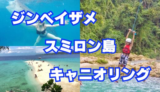 【ジンベイザメ＆スミロン島＆キャニオリング】セブ島貸切ツアー（GoPro無料レンタル）