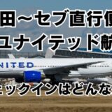 ユナイテッド航空 成田〜セブ便 空港でのチェックインや対応はどんな感じ？（搭乗記あり）