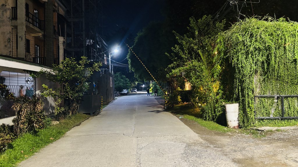 大通りから入った、緑の多い夜の脇道