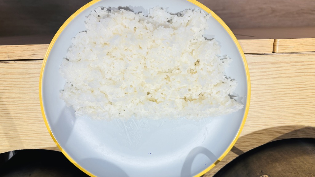 お皿に盛った白いご飯
